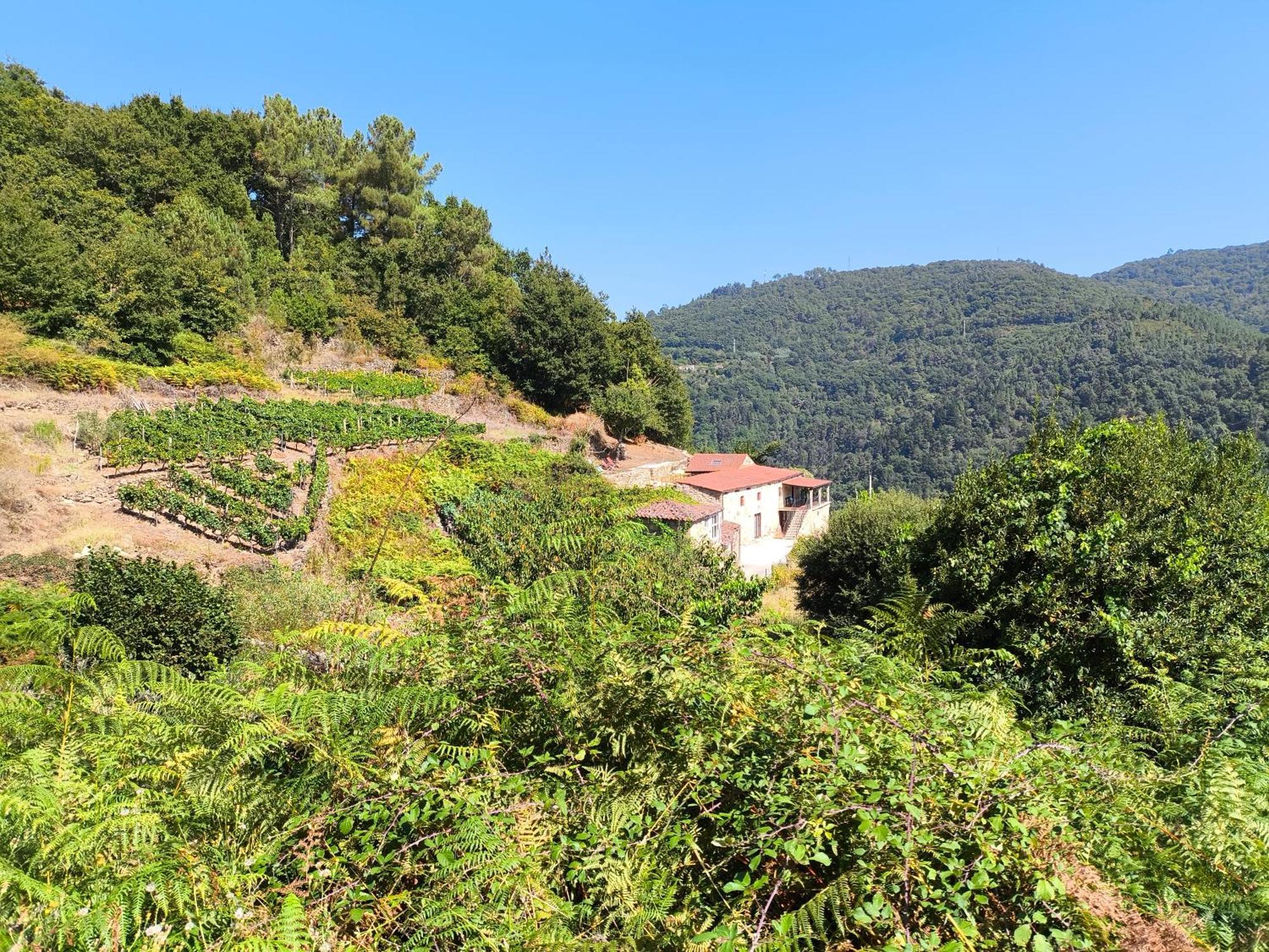הוילה Peares Xiravai-Ribeira Sacra מראה חיצוני תמונה